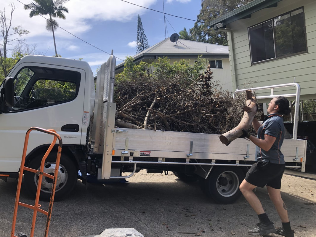 man-loading-tree-stump-onto-truck_orig.jpeg